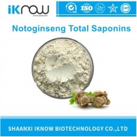 Notoginsen Total Saponins Panax Notoginseng Root Extract 75% CAS 88105-29-7 White to Light Yellow Po