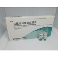 Clindamycin Phosphate for Injection 300mg