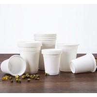 Corn Starch Disposable Environmentally Friendly and Degradable Takeaway Coffee Drink Cup