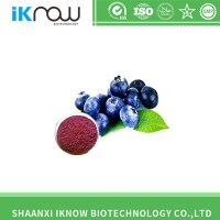 Herbal Extract Bilberry Anthocyanin with High Quality