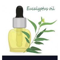 Factory Wholesale 100% Pure Eucalyptus Essential Oil with Best Price  High Quality Eucalyptus Oil  E