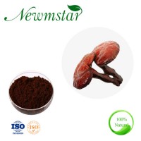 Mushroom Reishi Powder Reishi Extract Ganoderma Lucidum L. Beta Glucan 30% Polysaccharides 30% Trite