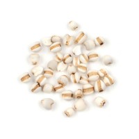 Pure Natural Coix Seed Pearl Barley Extract Powder Pearl Barley PE