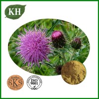 100% Natural Milk Thistle Extract Silymarin 70% by UV