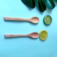 Biodegradable Tableware Bamboo Spoon Set Free Sample