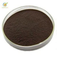 Top Quality Maca Root Extract for Herbal Sex Powder