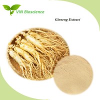 Manufacturer Supply Ginsenosides/Panax Ginseng Extract/Ginseng Extract