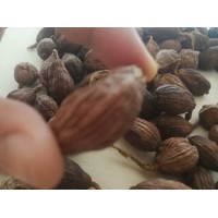 The Spice Black Cardamom Comes From China