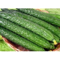 100% Natural Water Soluble Vegetable Powder Cucumber Extract Powder