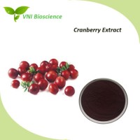 ISO Certified 100% Natural Cranberry Extract in Anthocyanidins