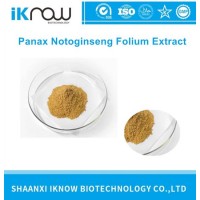 Notoginseng Leaf Total Saponins Panax Notoginseng Folium Extract CAS 68406-26-8 Rb 10% Powder with H
