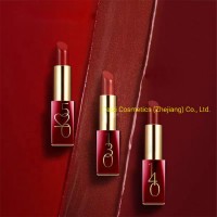 OEM. ODM Cosmetics Multicolor Waterproof Matte Long-Lasting Wands Dropship Lipstick