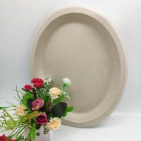 Disposable Natural Dinner Tableware Biodegradable Large Oval Plate