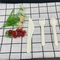 New Products Bagasse 100% Biodegradable Cutlery