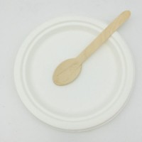 Wholesale Chinese Biodegradable Bagasse Disposable Food Grade Dishes Tableware
