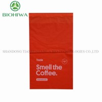 Printed Express Shipping Packing List Envelope in Mailing Bag