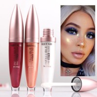 OEM Manufacturer Cheap High Quality Cosmetic Lipstick Metallic Lip Gloss