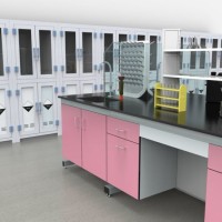 Factory Direct Sale Physical Steel Lab Furniture with Linners  Wholesale Physical Steel Chemistry La