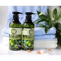 Hot Seller Nourishing Refreshing Anti Dandruff Hair Shampoo for All Hair with Private Label