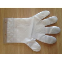 Clear PE Glove with Hanging Hole