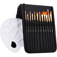 Paint Brushes Set 12PCS Brushes 1pallette in Carrying Case