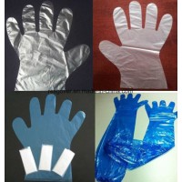 Best Selling Disposable Clear Plastic PE Glove