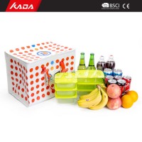 Wholesale Bulk Insulation Cooling Picnic Bag Lunch Bento Box Cake Wine Thermal Ice Bag Insulated Coo