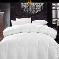Royal Hotel's Queen Size Light Down Comforter (DPF10345)