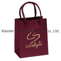 Fashion Design Customized Logo Printed Gift Packaging Bag Rope Handle Art Paper Shopping Tote Carrie