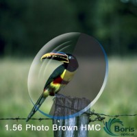 1.56 Photochromic Brown Hmc Optical Lens