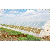 Greenhouse Film Agricultural Plastic Film