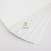 Factory Poly Coated Kraft Paper in Roll