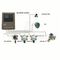 High Sensitivity CO2 H2 O2 Gas Leak Detector Alarm Gas Sensor Controller with Professional Customiza