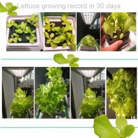 Big Smart Hydroponic Integrated Planter with LED Seeding Light