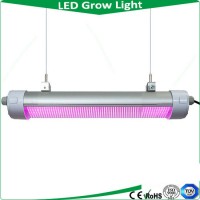 China Wholesale 50W IP65 LED Grow Light  LED Tri Proof Light  Mini Projector