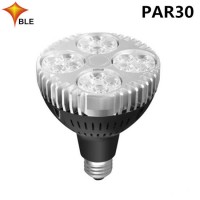 Commercial Light 2700-6500K PAR30 LED Bulbs