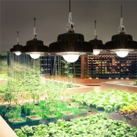 DIY LED Grow Light Kits 100W Greenhouse Full Spectrum CREE Cxb3590 COB LED Grow Light