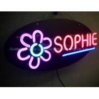 Outdoor or Indoor Ce and RoHS Approved 12V Decoration LED Neon Sign Light