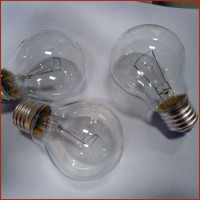 A55 Globe Lighting E27 Clear Frosted Glass Incandescent Light Bulbs 110-130V 40W Lamps