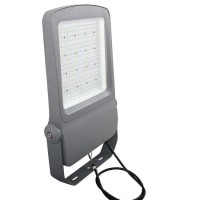 Stadium Lighting 220V IP66 Waterproof 60W Outdoor LED Spot Floodlight