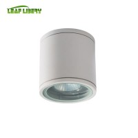 GU10 Max. Outdoor Ceilingwidely Used Superior Quality 35W Light Ceiling Lamp Design LED