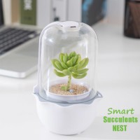 New Smart All in One Succulent LED Plant Grow Light