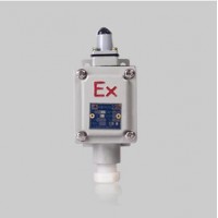 Explosion Proof Quality Limit Switch
