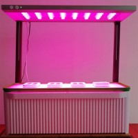 Big Smart Integrated LED Plant Grow Light for Hydroponic