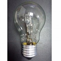 Wholesale High Quality A60/A55 Halogen Bulbs Lamps