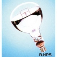 High-Pressure Sodium Reflector Lamp (R-HPS)