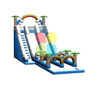 Best-Selling Inflatable Water Slide for Amusement Park