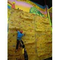 Cheer Amusement Tree Soft Climbing Wall