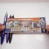 Promotional Advertisting Banner Pen  Pull out Calendar Flag Pen (XL-9116)