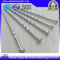 Galvanized Iron Common Roofing Concrete Nails for Construction